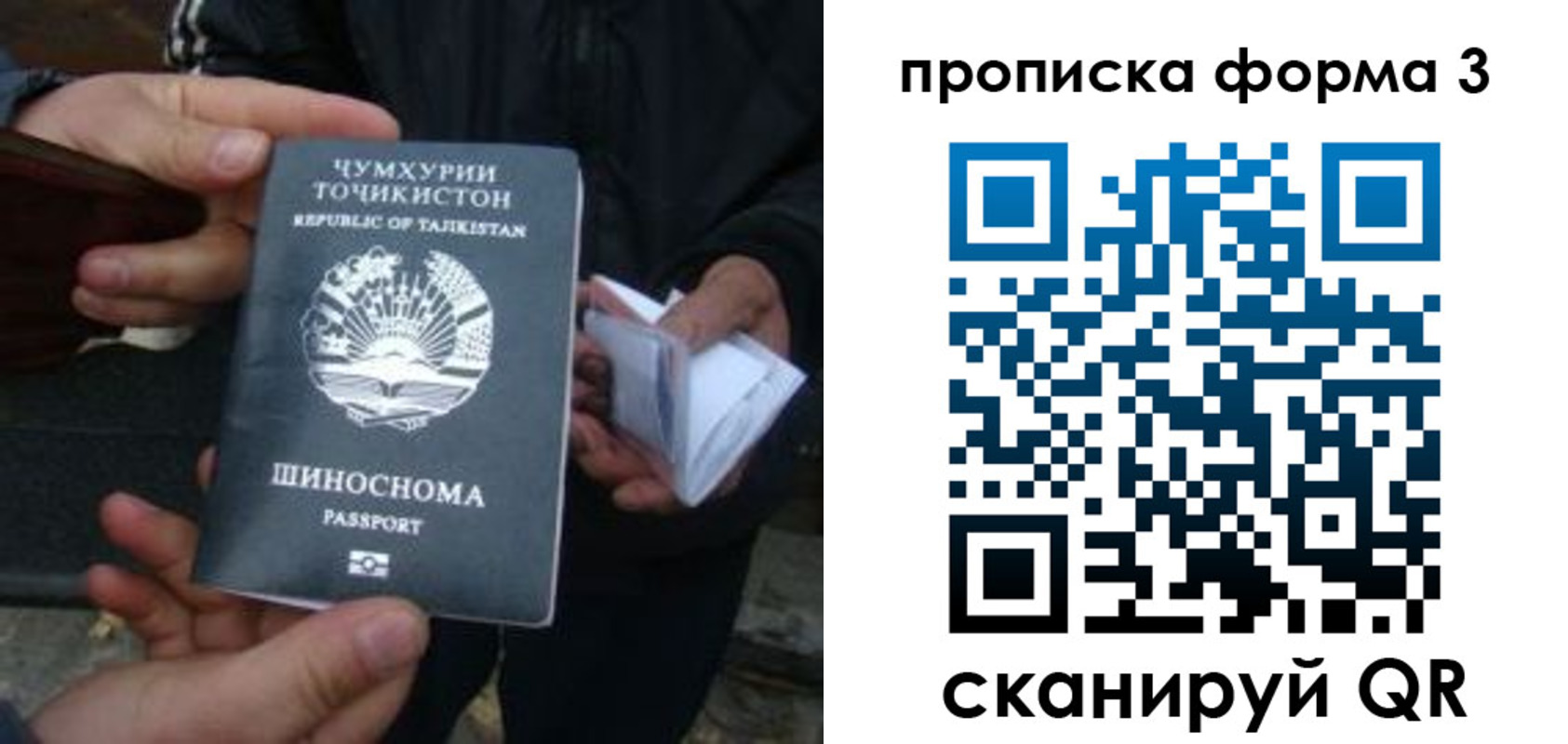 прописка 2025 в Алтае